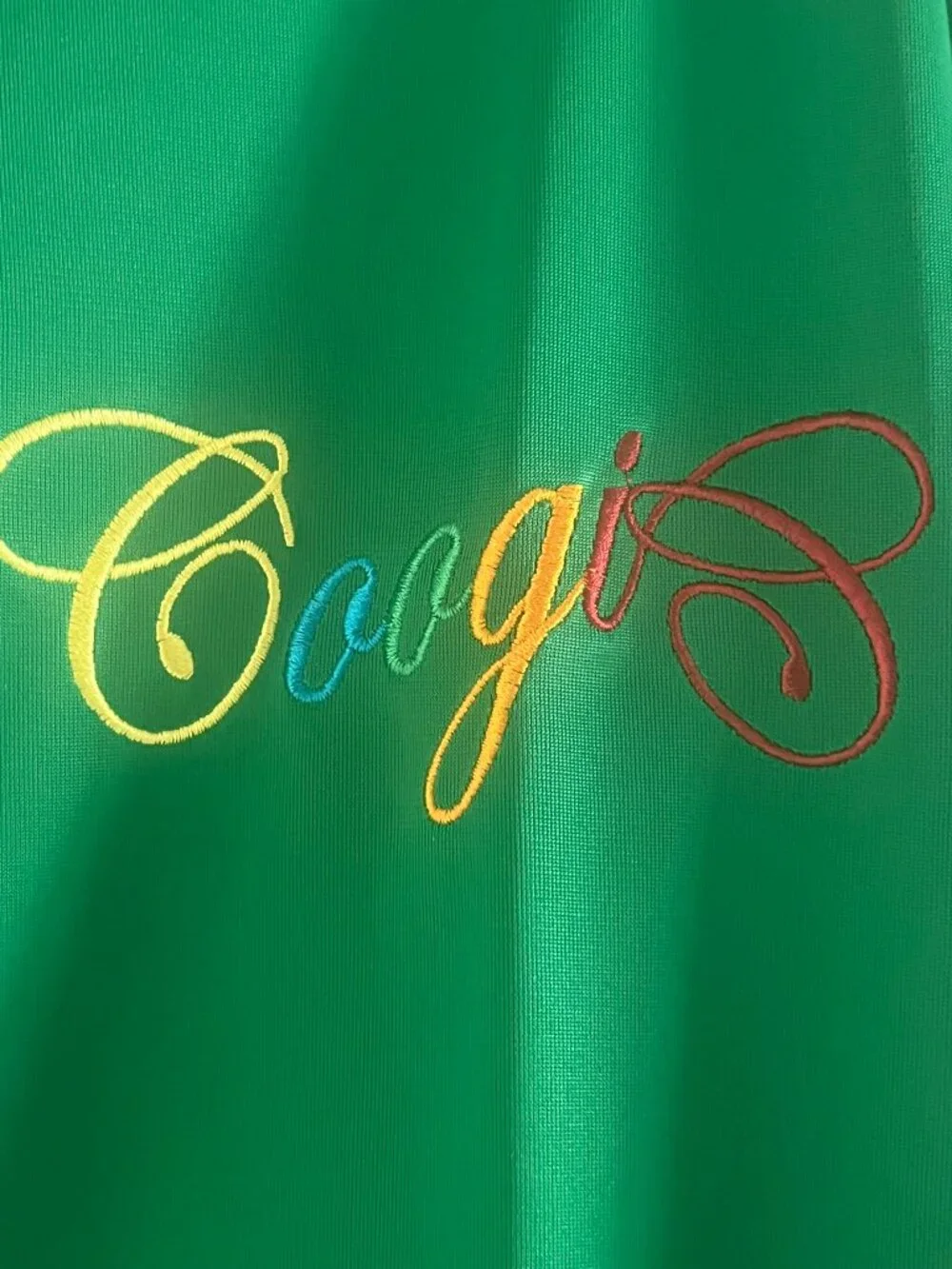NWT Vintage Green Coogi Track Jacket w Tribal Face Graphic